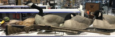 62CDDAAA-66BD-4852-9500-430D0DC6446C_1_201_a.jpg 62CDDAAA-66BD-4852-9500-430D0DC6446C_1_201_a.jpg