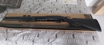 20211007_155729.jpg 20211007_155729.jpg