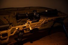 JIANSHU CHEN - 064A2537.jpg