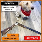 IMG_0301.jpg IMG_0301.jpg