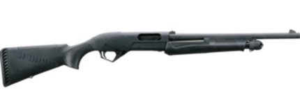 20155__54812.1562964807.jpg 20155__54812.1562964807.jpg