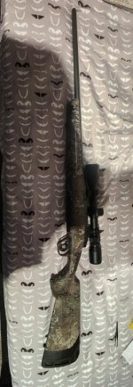 20220916_190518.jpg 20220916_190518.jpg