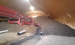 20231004_132523  20 000 cwt of seed potatos.jpg 20231004_132523  20 000 cwt of seed potatos.jpg