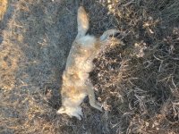 20231119_083248.jpg 20231119_083248.jpg