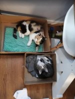 2023-11-21_17-31-15.jpg 2023-11-21_17-31-15.jpg