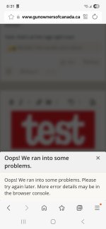 Screenshot_20251113_203137_Samsung Internet.jpg