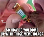 1786646567335.png
