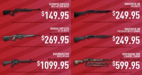 rifle-shotgun.jpg rifle-shotgun.jpg