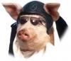 KDX's Avatar