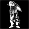 Painkiller's Avatar