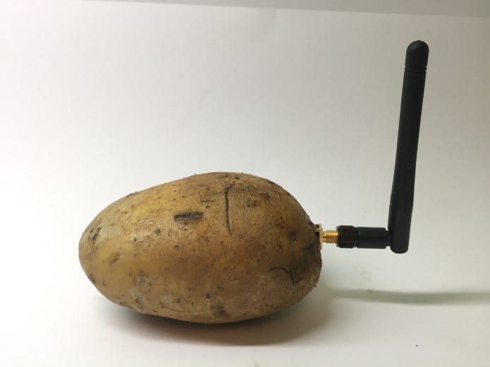 potato1.jpg
