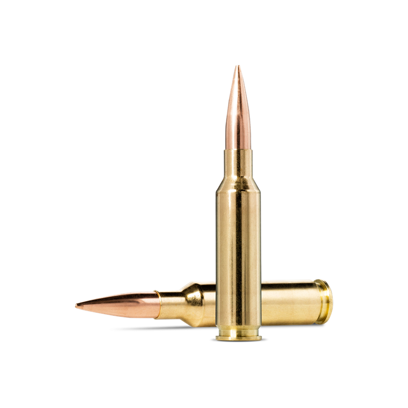 Norma Golden Target 6.5 Creedmoor