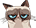 grumpy_cat.gif