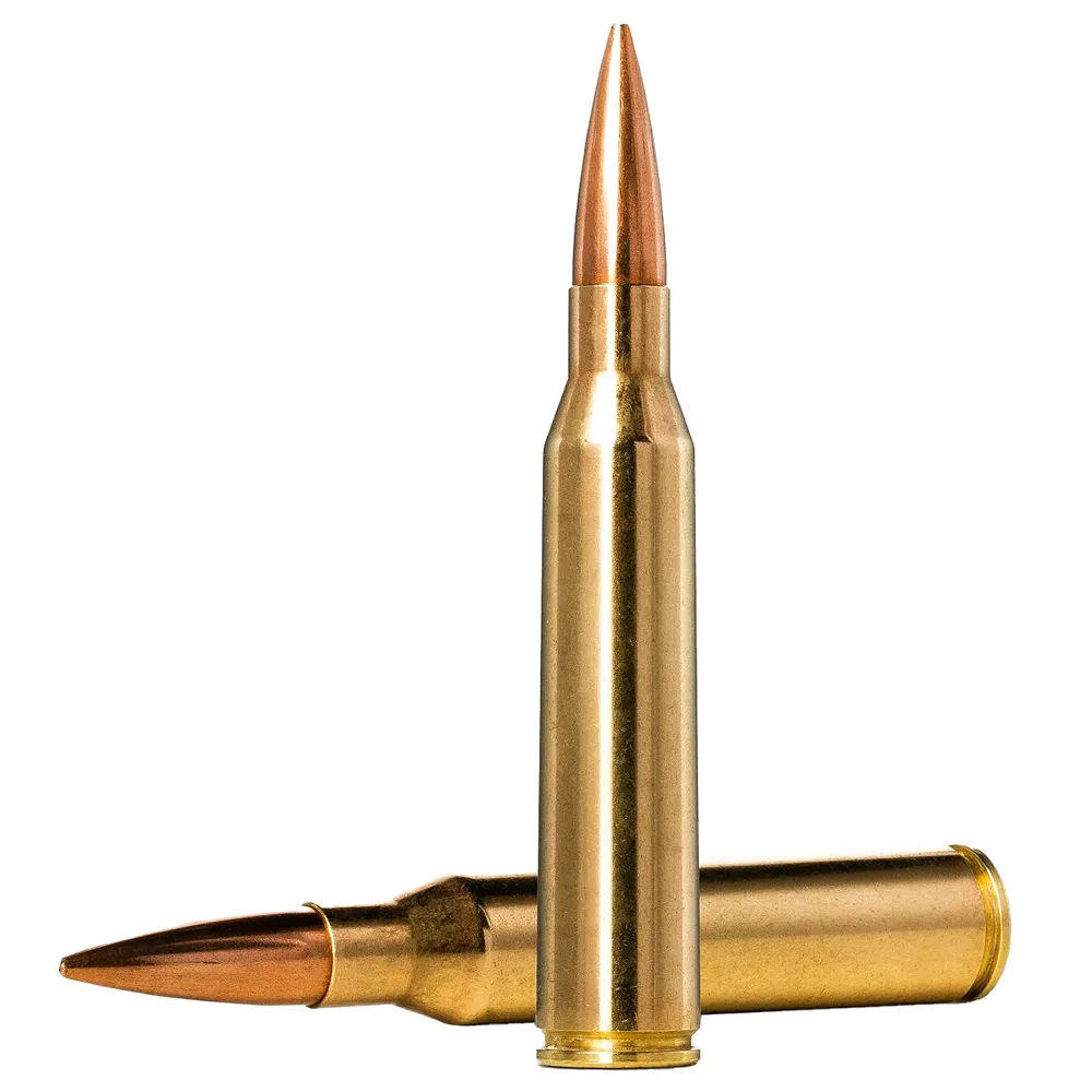 Norma Golden Target .338 Lapua