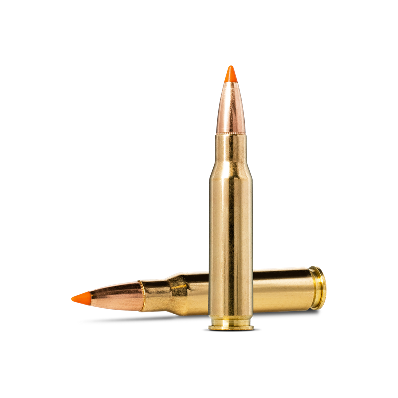 Norma Tipstrike .308 Win 170gr