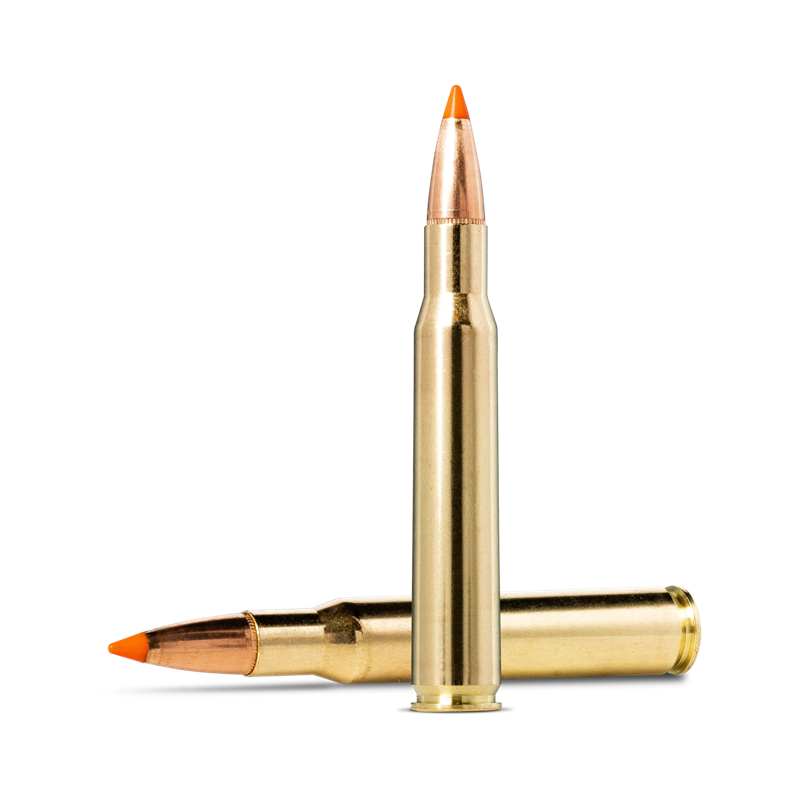 Norma Tipstrike .30-06